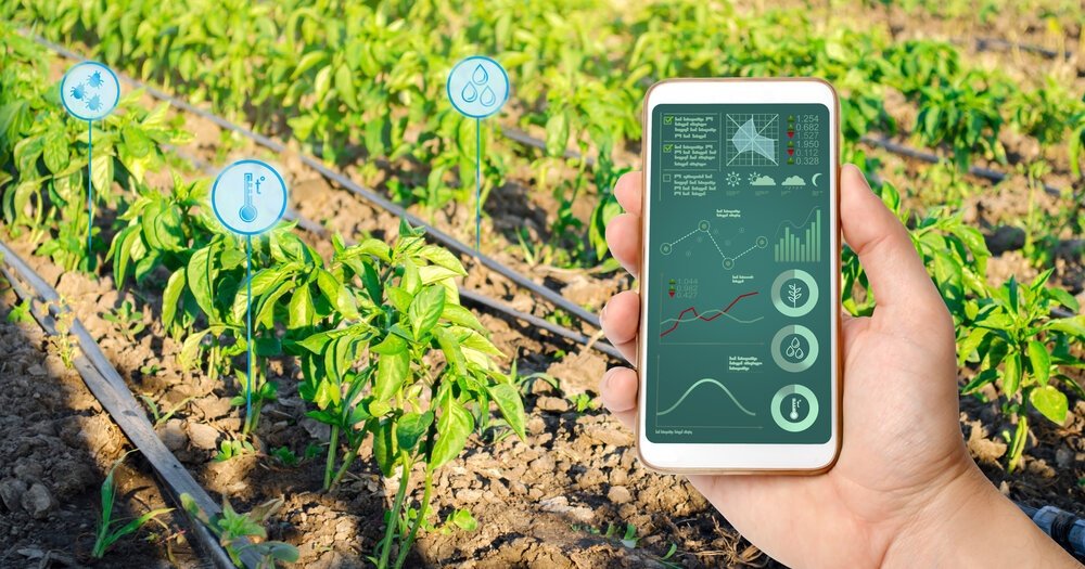 Suivi de culture en agriculture de précision via smartphone