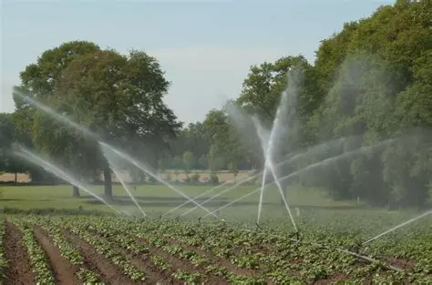 Irrigation sur le terrain